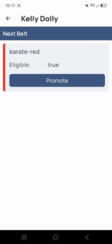 Belt promotion screen in the DojoExpert app